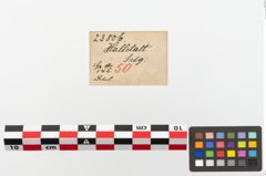 Etiketten zu Bronzeschlangenfibel (NHMW-PRAE-023806)